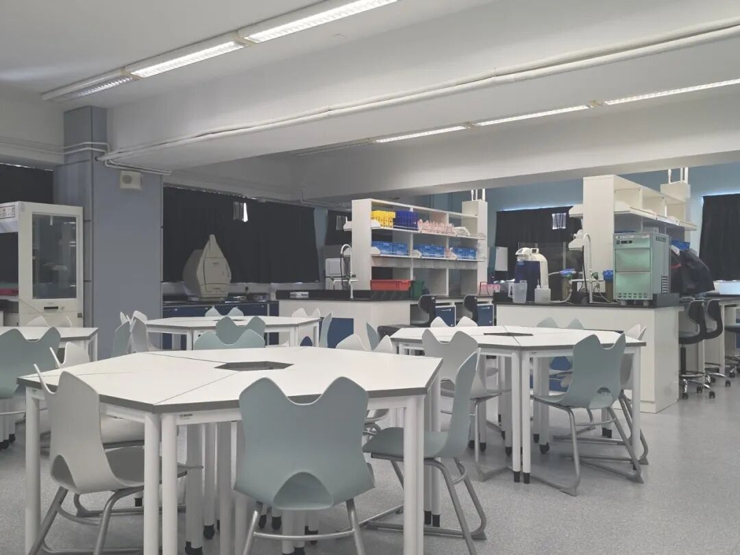 新晋IB黑马—保良局颜宝铃书院，双轨直资名校，26-27学年中一现可申请！