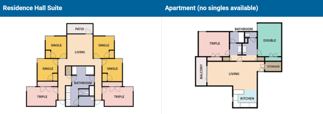 【藤莘科普】UCSD的“哈利波特”分院制：八个学院，八种人生，你该Pick谁？