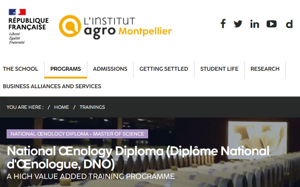 想出国学葡萄酒专业？这一篇可不能错过！