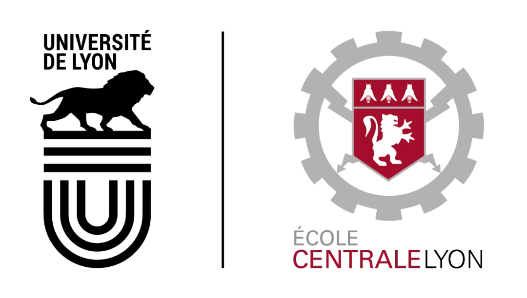 EMLYON里昂高商四年制本科：数据科学与企业社会责任 - 与里昂中央理工合作