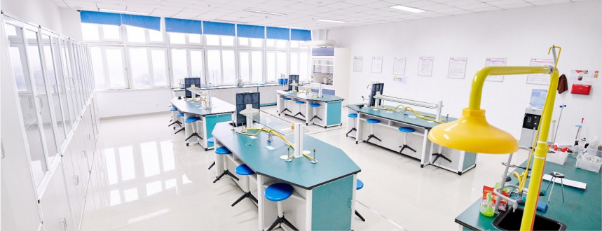 合肥高新中嘉学校好在哪里？一文讲清