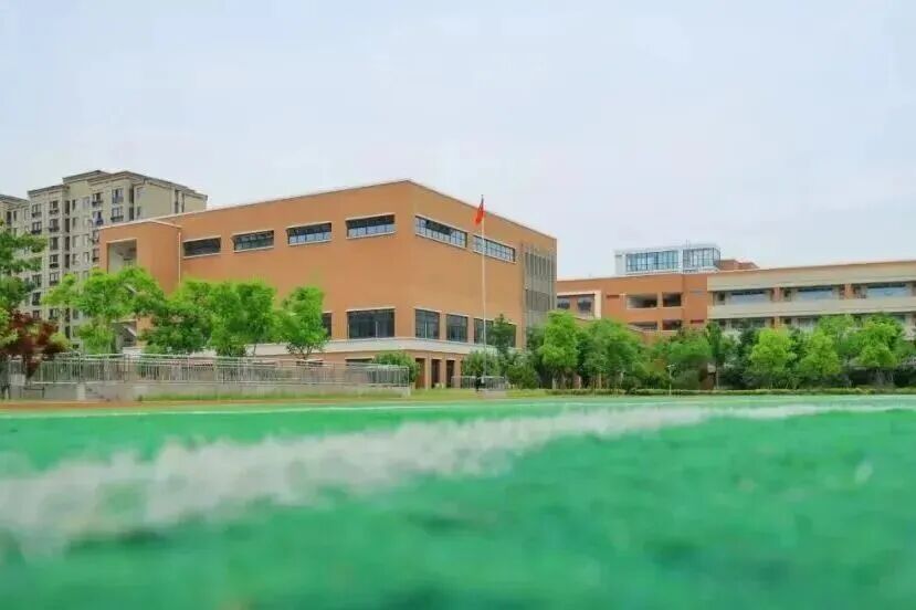 上海宝山区国际学校｜TICC存志学校开设香港DSE与Alevel课程！