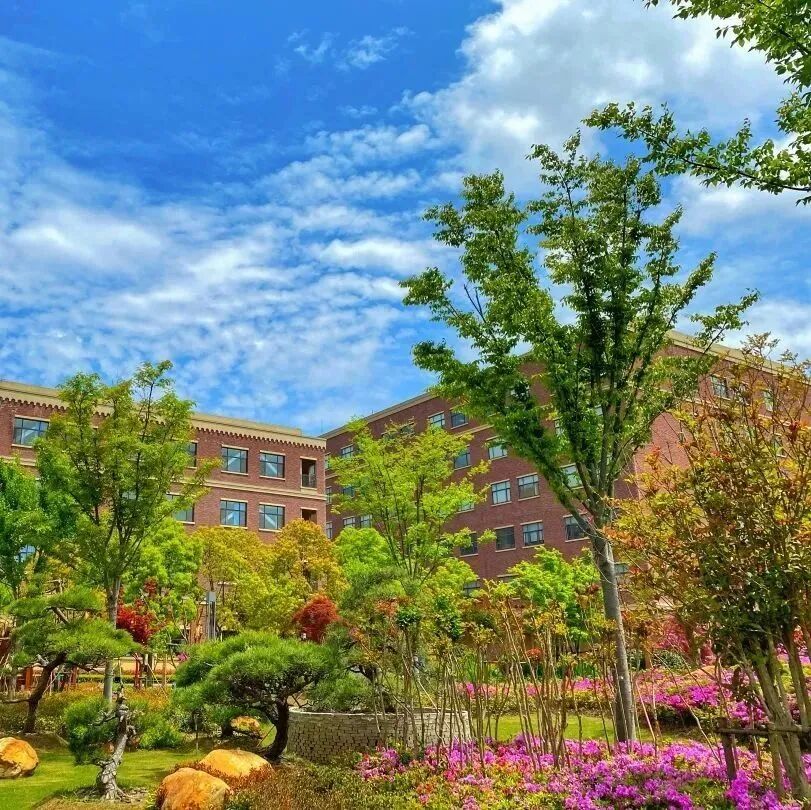 2026春招择校！盘点上海6所环境好、社团活动多的国际学校！