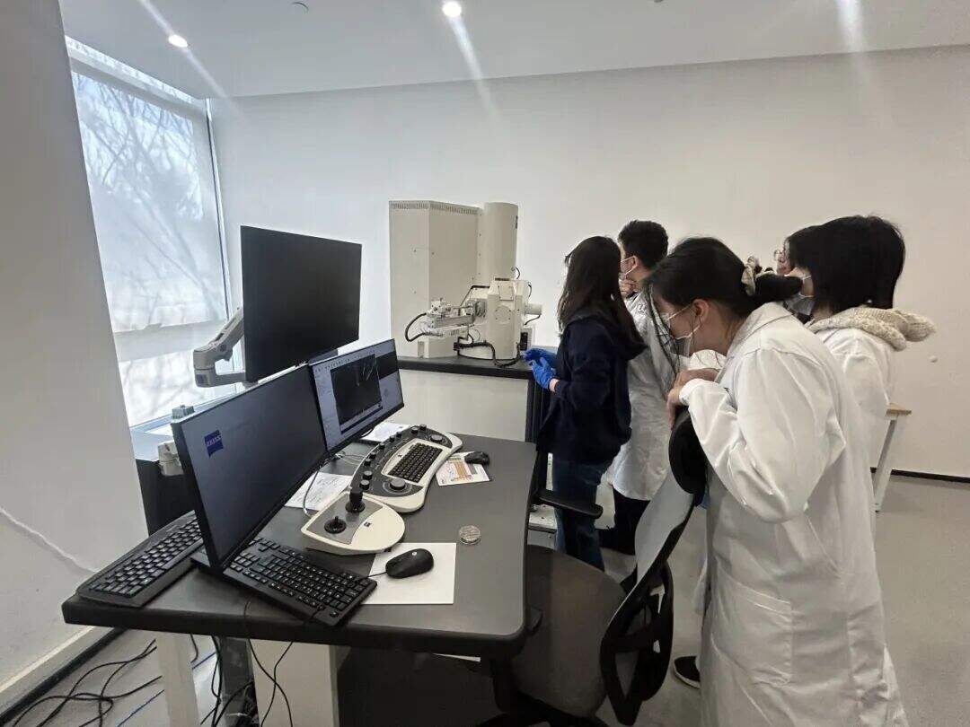 【实验比例高】高中医学课题:从DNA复制到3D打印,再生医学技术与组织工程的未来前沿 【实验比例高】高中医学课题:从DNA复制到3D打印,再生医学技术与组织工程的未来前沿