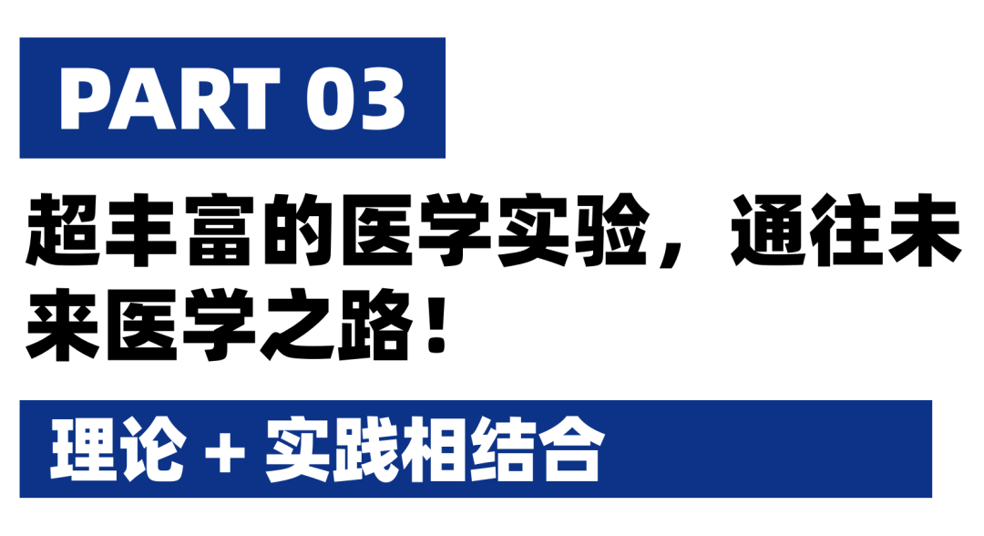 【实验比例高】高中医学课题:从DNA复制到3D打印,再生医学技术与组织工程的未来前沿 【实验比例高】高中医学课题:从DNA复制到3D打印,再生医学技术与组织工程的未来前沿