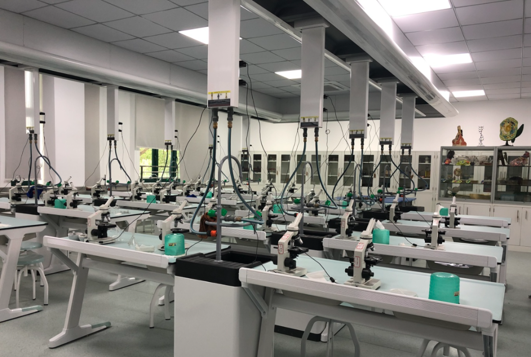 上海日本高中 | 文来高中国际部26年招生简章！