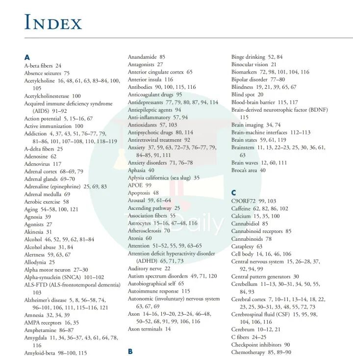 生物国际竞赛圈“新秀”Brain Bee，零基础也能挑战？