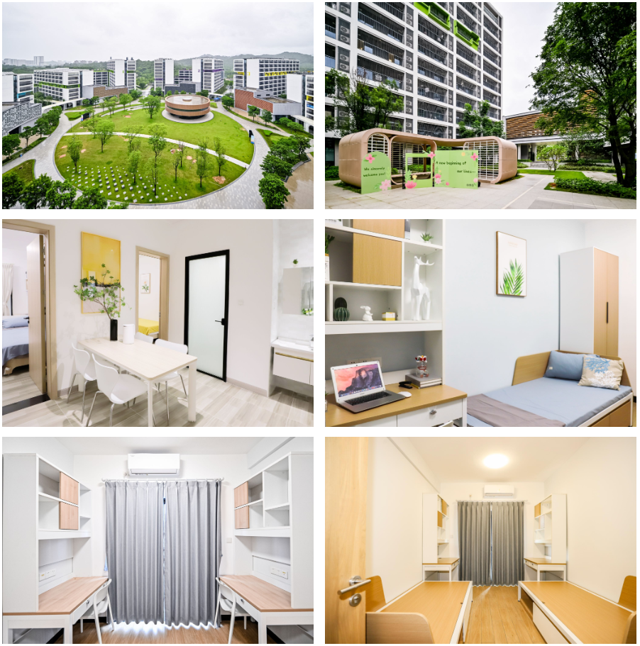 四级可申!26Fall北师香港浸会大学今天开放硕士入学申请! 四级可申!26Fall北师香港浸会大学今天开放硕士入学申请!