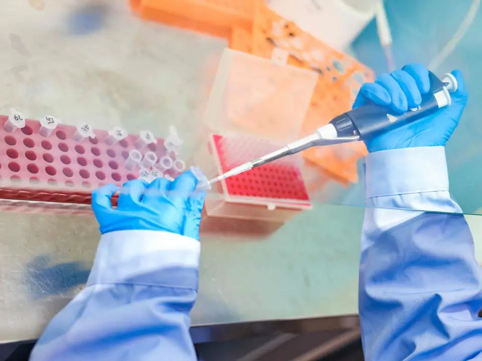 上海国际学校 | 领科国际学校：师资配置/升学成果/校园环境！