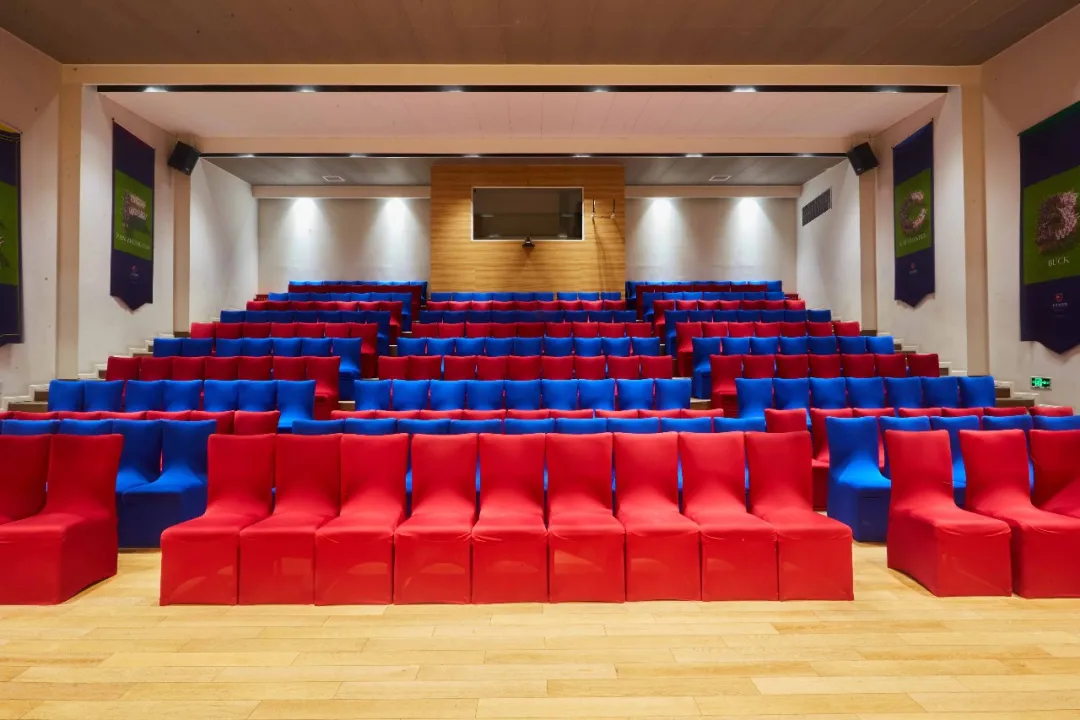 2026年上海七宝德怀特国际学校春季招生简章! 2026年上海七宝德怀特国际学校春季招生简章!