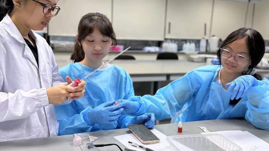 【15岁+】新加坡国立大学官方课程 | 4大王牌学科,7天微留学 【15岁+】新加坡国立大学官方课程 | 4大王牌学科,7天微留学