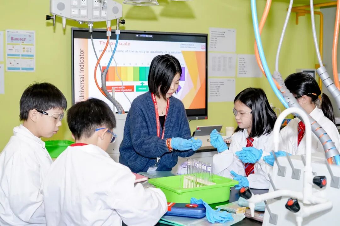 招生活动及插班测评持续进行中!1月小学及中学开放日,聚焦家长最关心的问题! 招生活动及插班测评持续进行中!1月小学及中学开放日,聚焦家长最关心的问题!