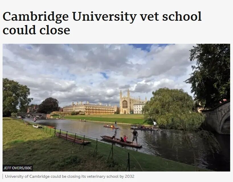 70周年刚过就遇危机——剑桥大学要取消兽医专业？