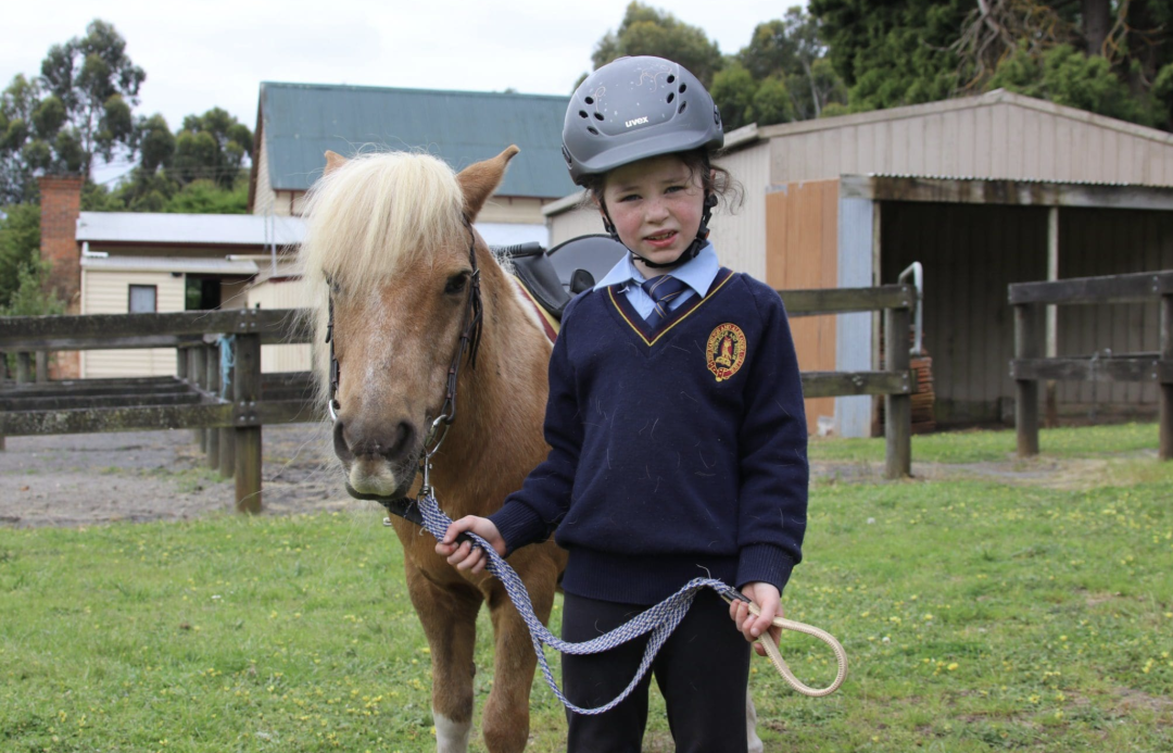 【维州寄宿私立混校】汉米尔顿-亚历山大学院 The Hamilton and Alexandra College！