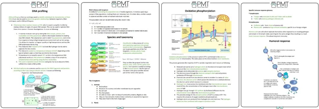 英国大学申请审核即将暂停，香港本科接力放榜！