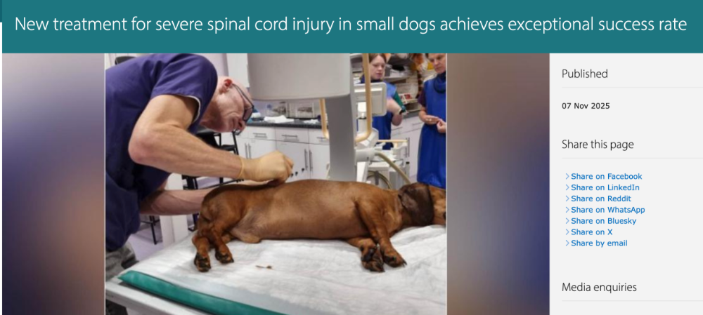 重磅！G5院校这一王牌专业或将永久关闭？准留子何去何从……