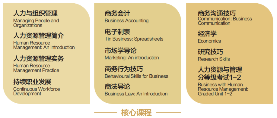 湖北中外合办|武汉理工大学SQA3+1国际本科2026招生简章