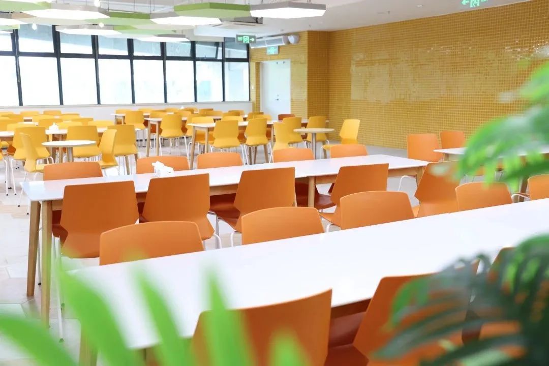 深圳培侨学校将于12月20日举行2026-2027学年招生简介会 报名通道已开启！