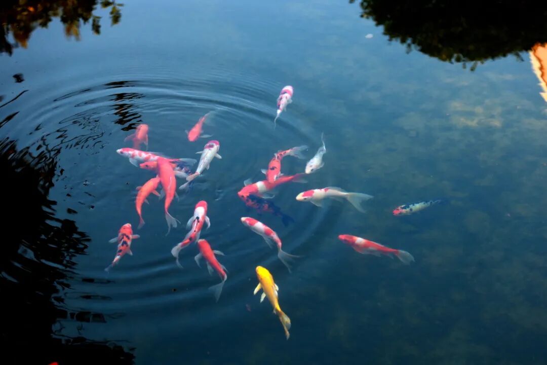 2026 首场校园开放日预告｜沉浸式感受校园魅力