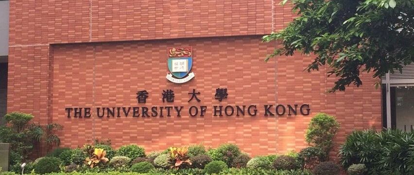 香港大学全奖博士招生 | Prof. Hin