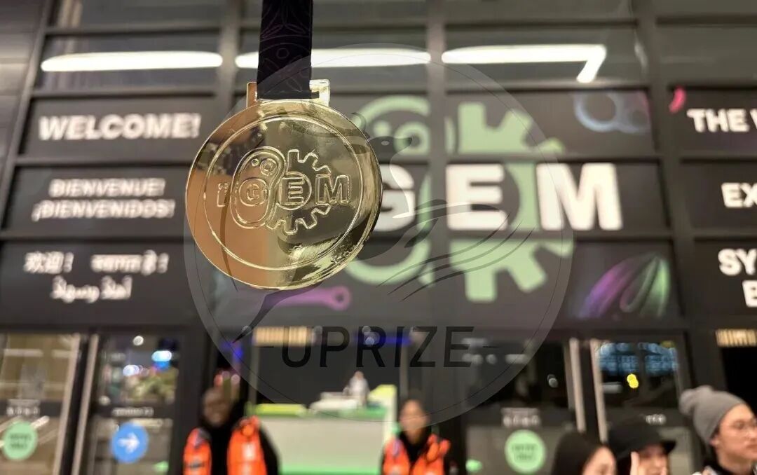 2024iGEM全球摘金！｜从身边的脊柱侧弯案例到可能改变的创新方案！揭秘iGEM小队的骨骼修复探索之旅