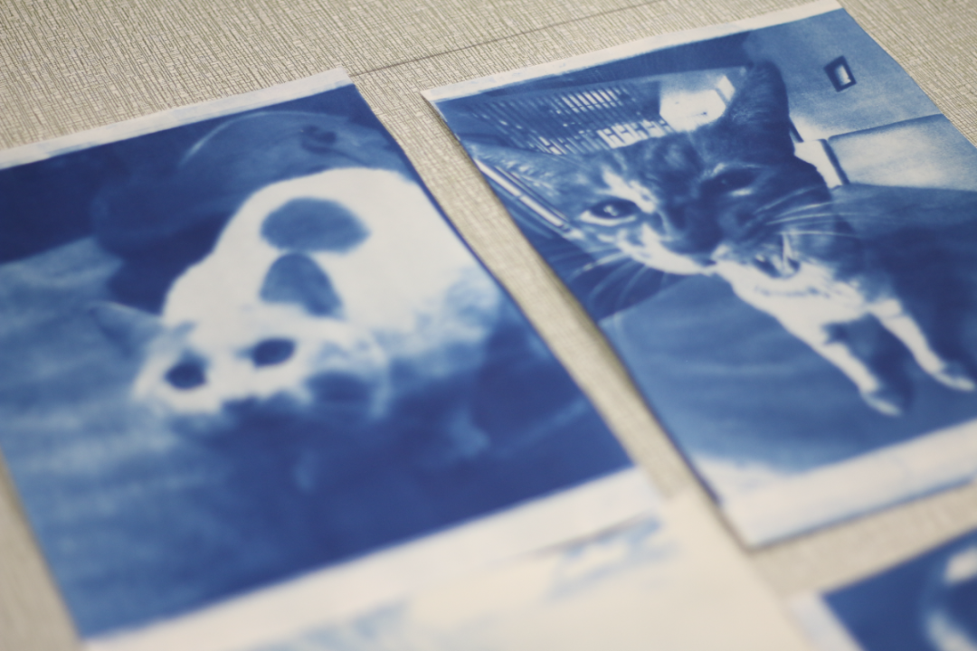 高藤艺术课程体系：以创造力，开启个性化升学通道