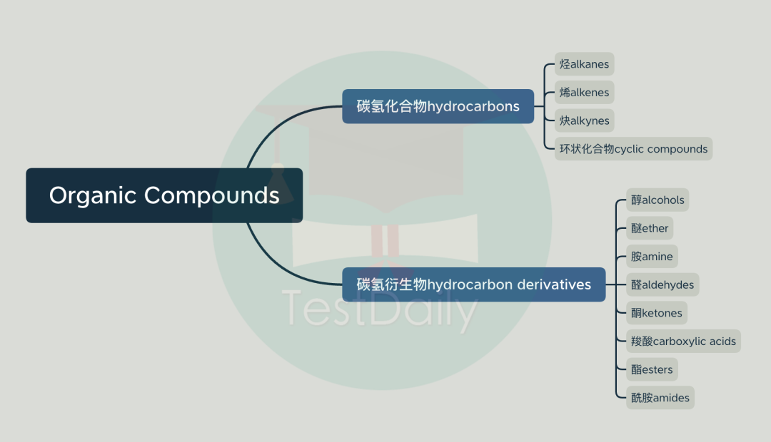 如何花最少时间拿到CCC金奖？这条捷径可别错过！