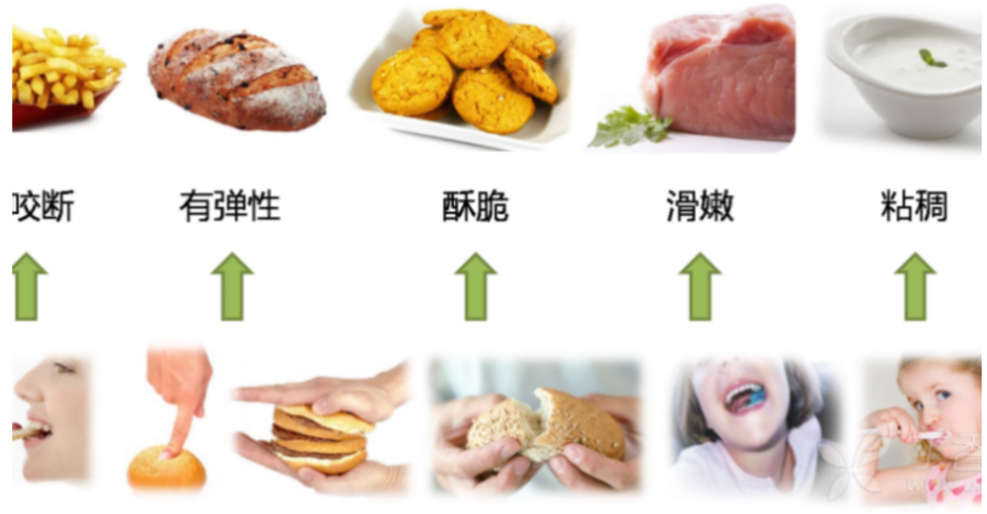 课题上新！3大食品类课题，助你积累申请顶尖大学独特竞争力！