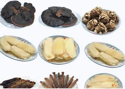 2026年南昌大学&马来西亚国际医科大学2+3+1中医学专业本科留学招生简章