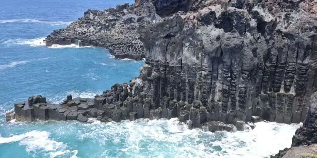 【2025秋冬志愿者项目】跨学科探究+志愿服务,定义你的独特文书素材! 【2025秋冬志愿者项目】跨学科探究+志愿服务,定义你的独特文书素材!