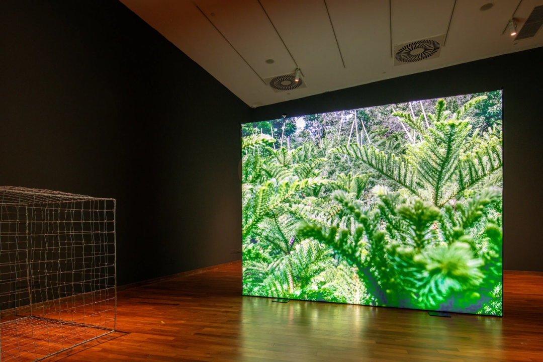 南洋理工官宣艺术类本科拆分专业！26年留学生录取率大增？