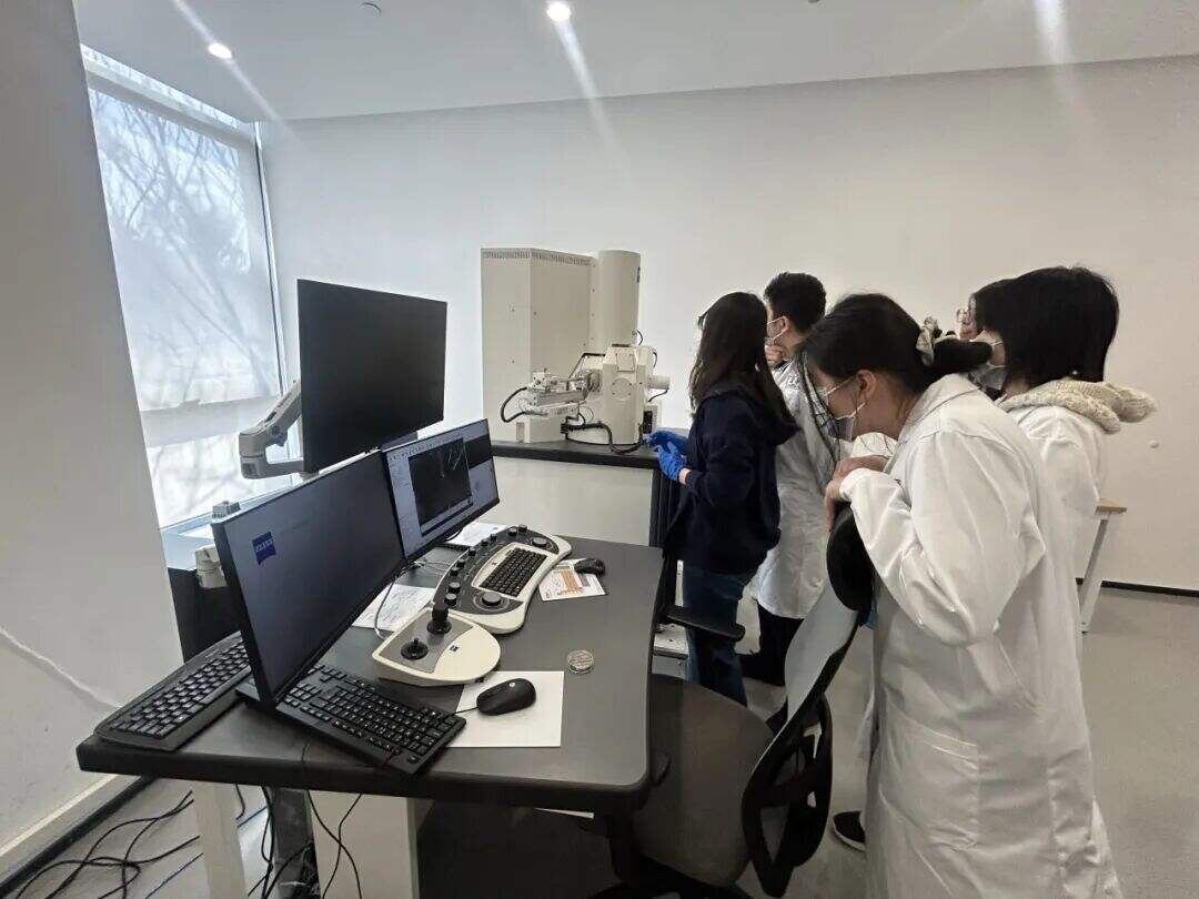 【实验比例高】高中医学课题:从DNA复制到3D打印,再生医学技术与组织工程的未来前沿 【实验比例高】高中医学课题:从DNA复制到3D打印,再生医学技术与组织工程的未来前沿