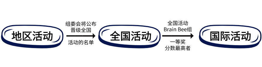 名校申请“加分项”：国际生物竞赛Brain Bee全解析（含考纲与参考资料）