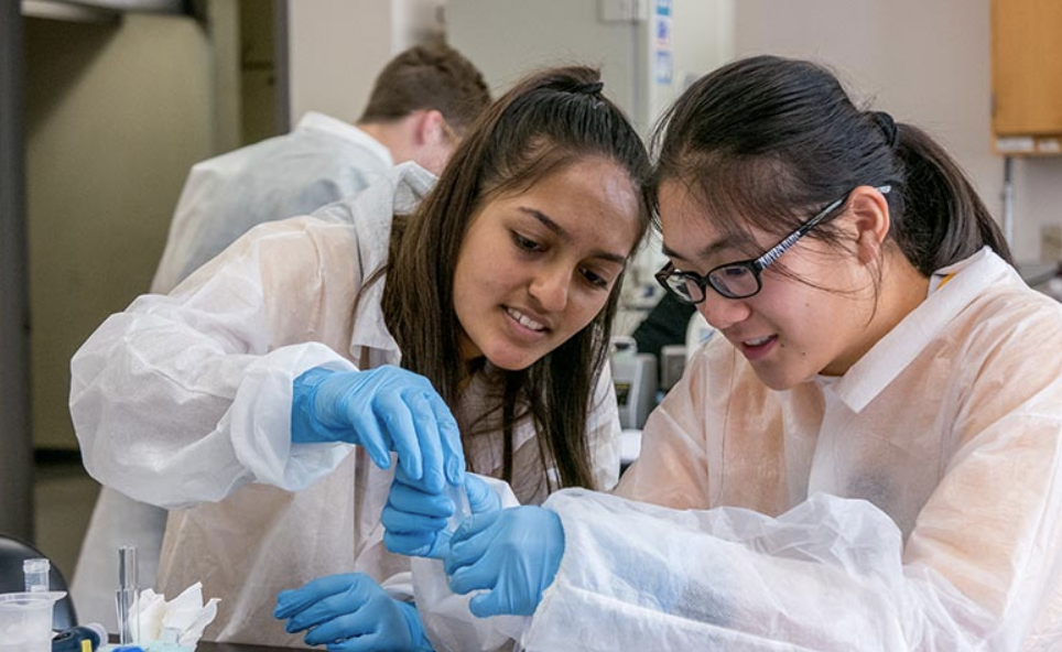 2026｜全美7大天才营之一，加州伯克利分校ATDP天才营开申！K-8年级学霸冲！