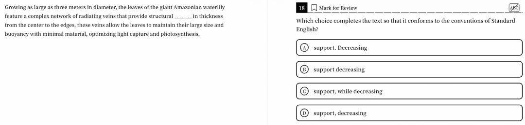 SAT文法进阶指南：攻克“非谓语动词”三大高频考点 轻松避坑！