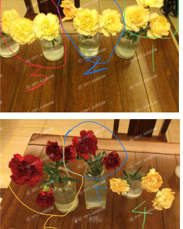 ASDAN EPQ数学/化学方向高分选题盘点