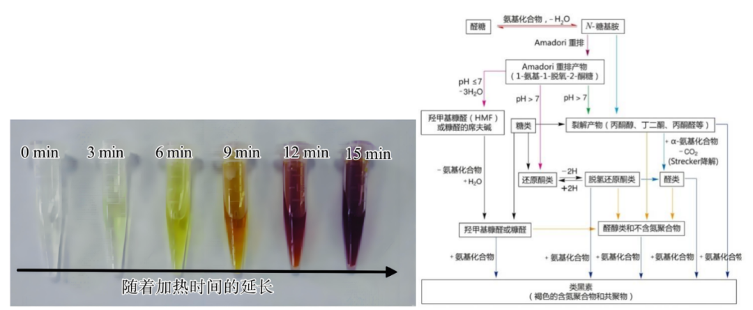 课题上新！3大食品类课题，助你积累申请顶尖大学独特竞争力！