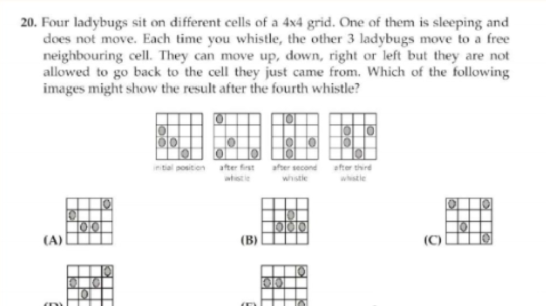 在家就能考的高含金量袋鼠竞赛火热报名中!普娃冲奖友好,错过等一年 在家就能考的高含金量袋鼠竞赛火热报名中!普娃冲奖友好,错过等一年