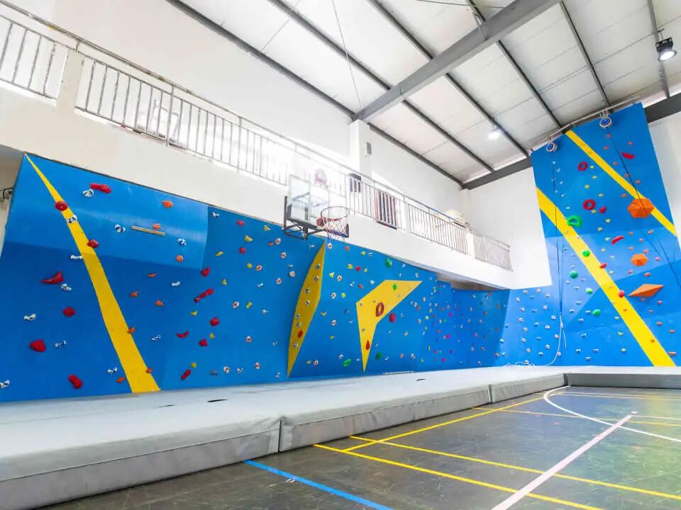 上海国际学校 | 领科国际学校：师资配置/升学成果/校园环境！