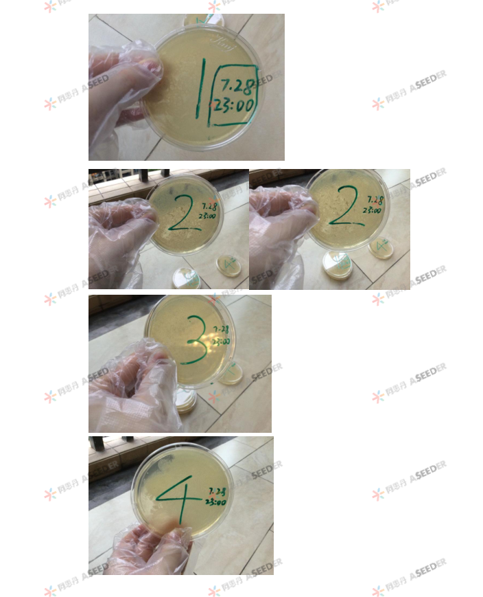 ASDAN EPQ数学/化学方向高分选题盘点