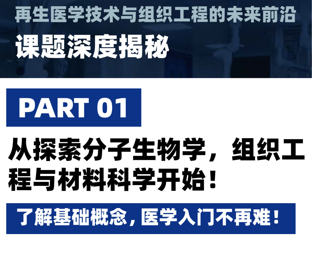 高中医学课题:从DNA复制到3D打印 再生医学技术与组织工程的未来前沿