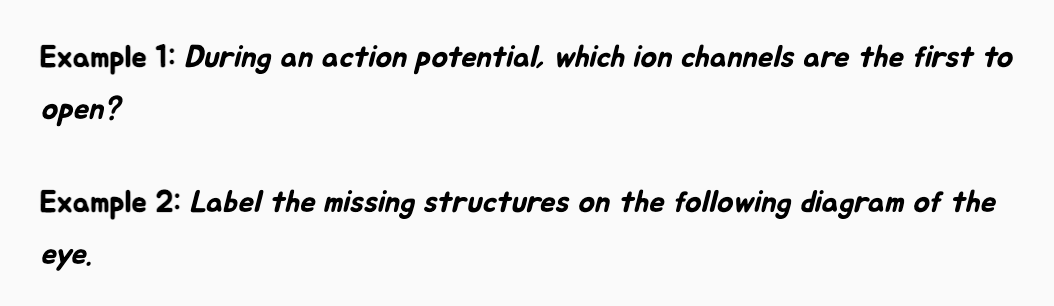Brain Bee脑科学大赛2026，赛前冲刺备赛学习报名倒计时！