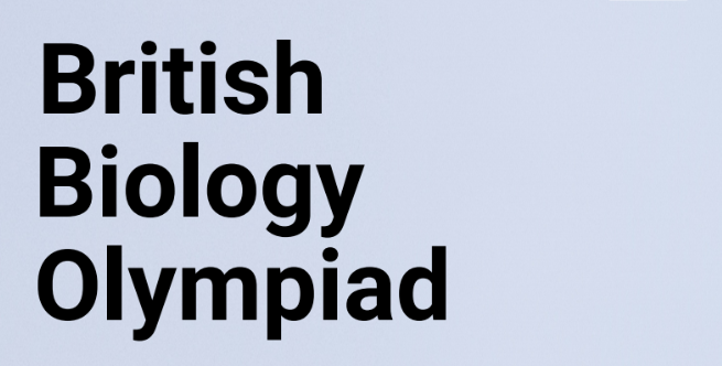 为什么留学申请都要拼竞赛？2026年理工/文商社学科怎么选竞赛？