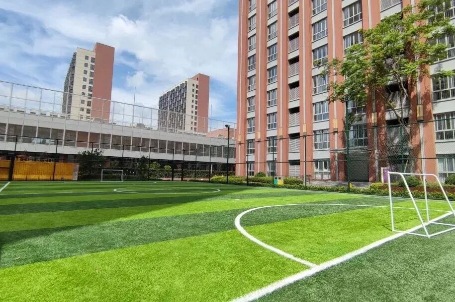 上海圣华紫竹国际私塾：10-12人制小班教学，培养“有底气走向世界”的中国少年→