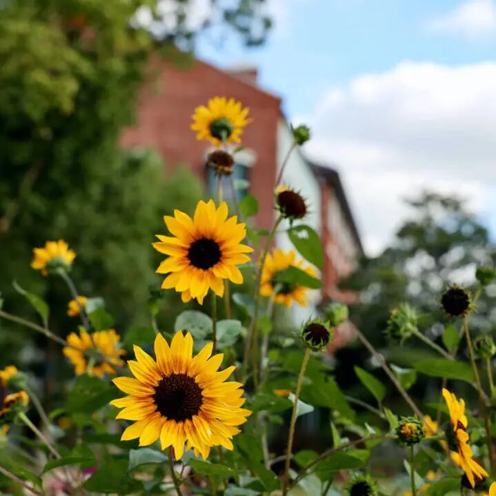 2026 首场校园开放日预告｜沉浸式感受校园魅力