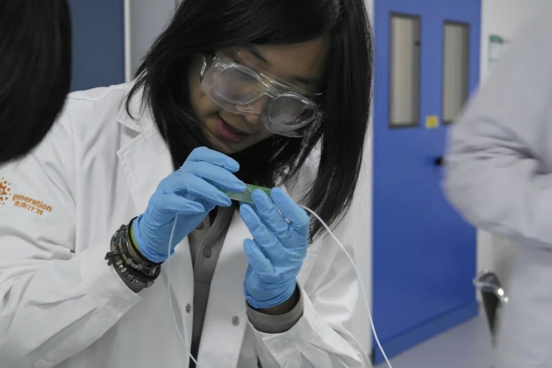 【实验比例高】高中医学课题:从DNA复制到3D打印,再生医学技术与组织工程的未来前沿 【实验比例高】高中医学课题:从DNA复制到3D打印,再生医学技术与组织工程的未来前沿