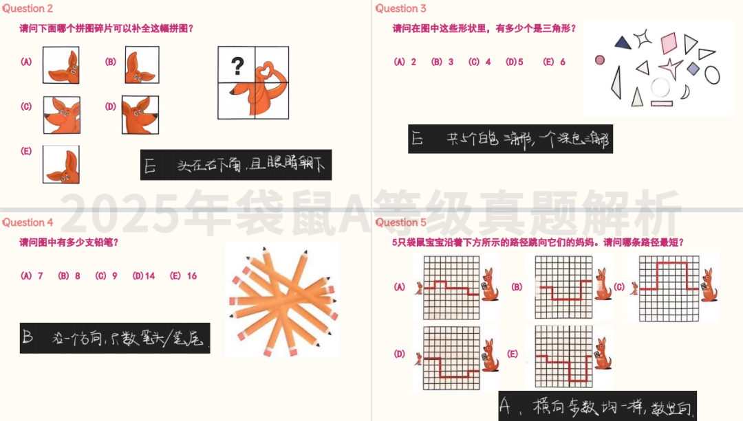 1-2年级低龄王炸：袋鼠数学竞赛+KET英语组合数学英语双提升！
