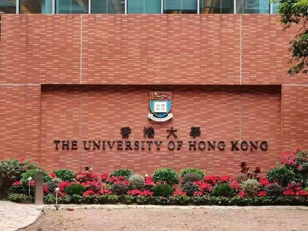 从国优计划到课堂一线,港校的师范教育这么火? 从国优计划到课堂一线,港校的师范教育这么火?