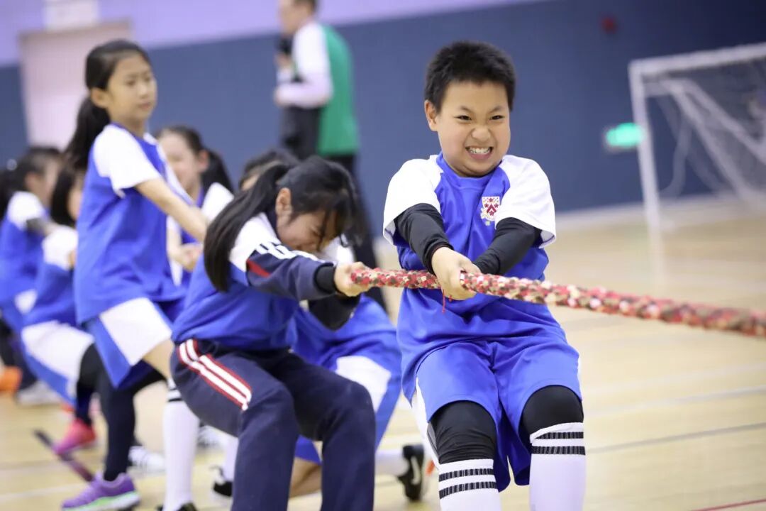 招生活动及插班测评持续进行中!1月小学及中学开放日,聚焦家长最关心的问题! 招生活动及插班测评持续进行中!1月小学及中学开放日,聚焦家长最关心的问题!