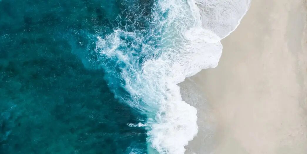 寒假志愿者项目 | 完成具有社会价值的调研报告，积累独特的文书素材